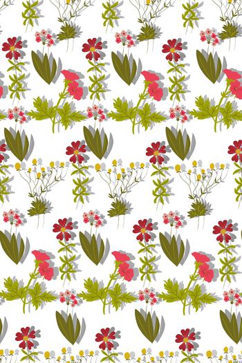 596932-春夏田园植物花卉女装