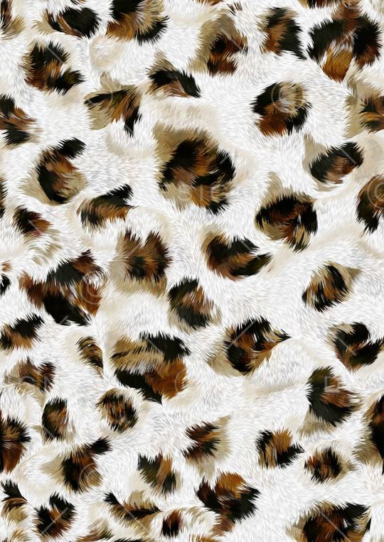 豹纹印花华亿平台图片