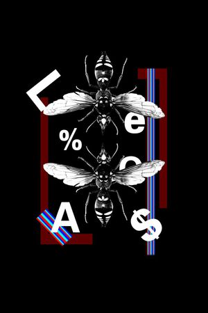 昆虫印花华亿平台图片