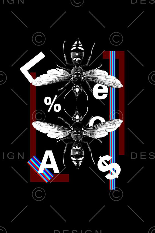 昆虫印花华亿平台图片