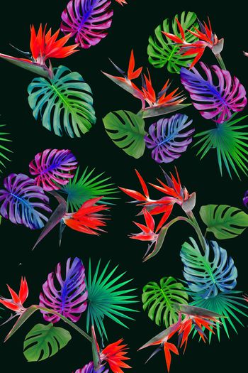 596981-热带雨林之热带风格花