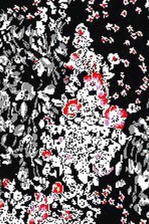 美式印花华亿平台图片