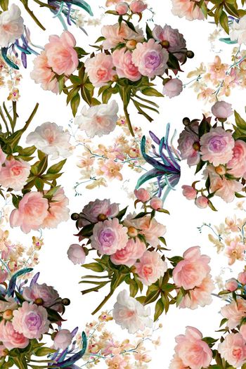 597136-浪漫素雅牡丹