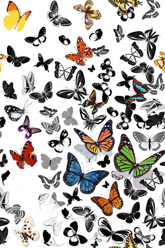 连衣裙印花华亿平台图片