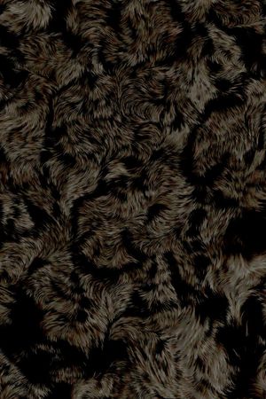 豹纹印花华亿平台图片