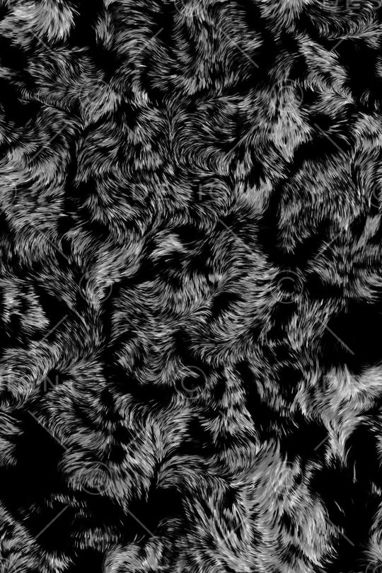 豹纹印花华亿平台图片