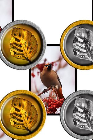 坯布印花华亿平台图片