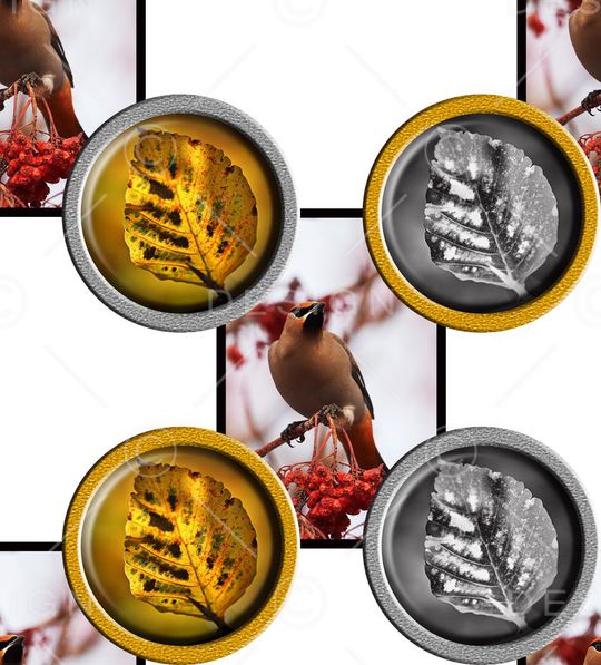 坯布印花华亿平台图片