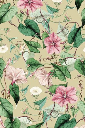 素雅印花华亿平台图片