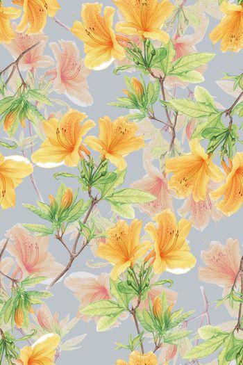 597599-时尚清新亮丽可爱花卉