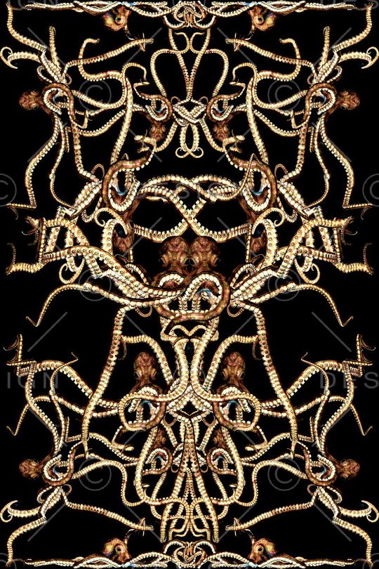 章鱼印花华亿平台图片