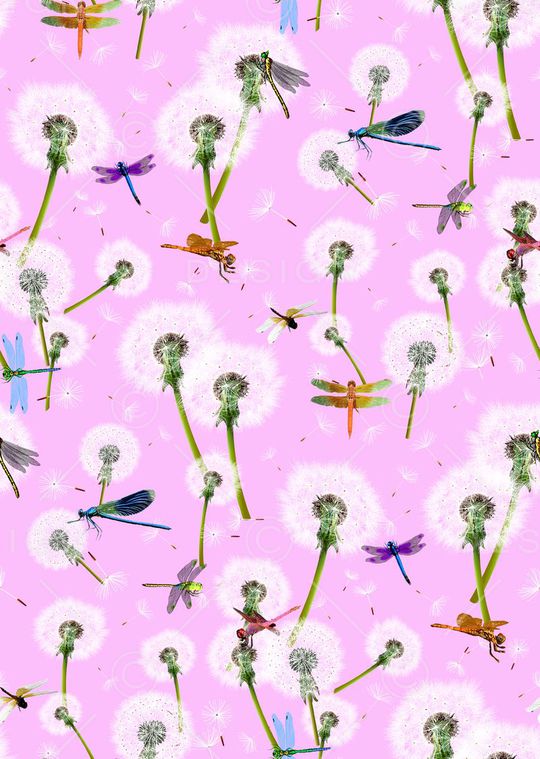 花鸟印花华亿平台图片