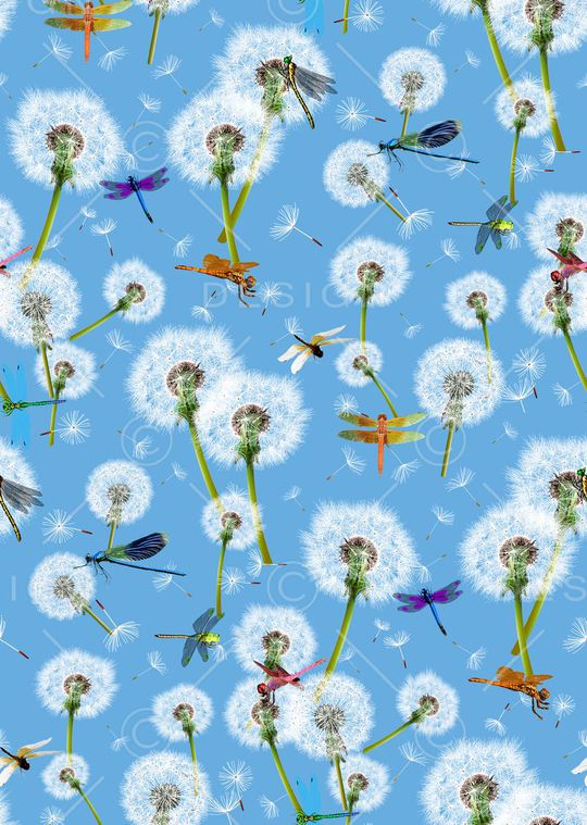 花鸟印花华亿平台图片