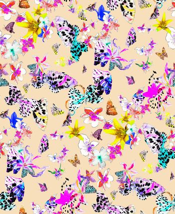 597679-水彩手绘蝴蝶百合 花卉花朵－－２