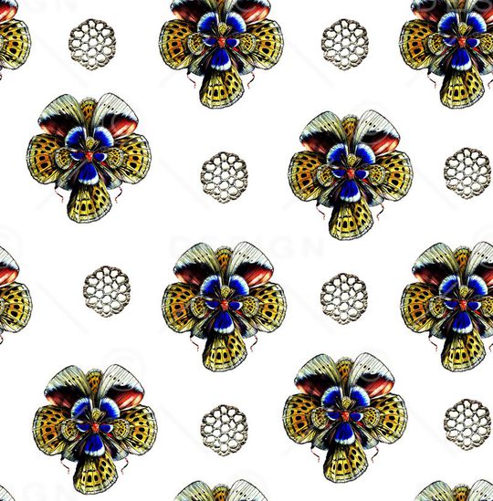 蝴蝶纹理印花华亿平台图片