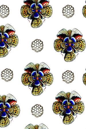 蝴蝶纹理印花华亿平台图片