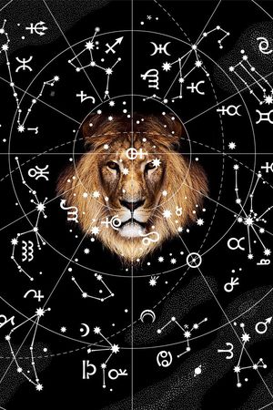 星座狮子印花华亿平台图片