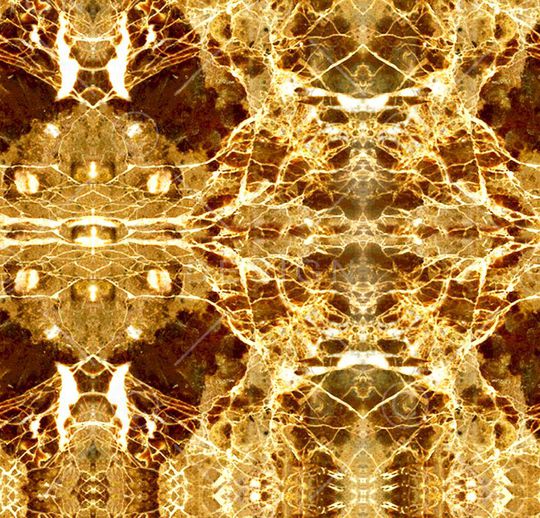 泳装印花华亿平台图片