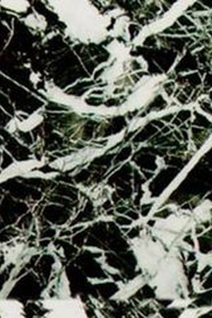 泳装印花华亿平台图片