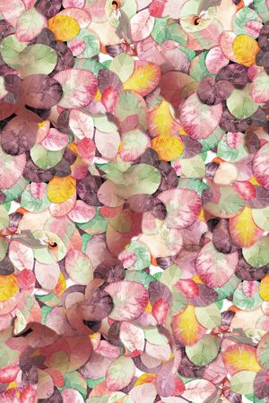 中国风印花华亿平台图片