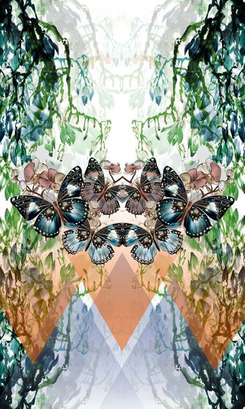 597794-蝴蝶树藤渐变几何