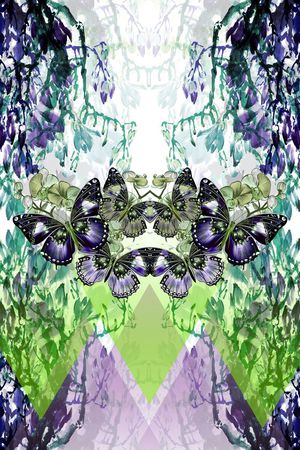 蝴蝶印花华亿平台图片