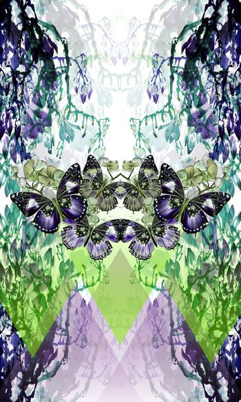 597795-蝴蝶树藤渐变几何