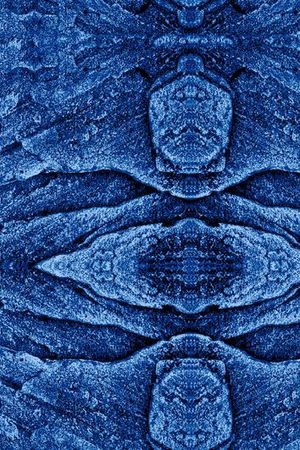 泳装印花华亿平台图片