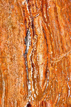 泳装印花华亿平台图片