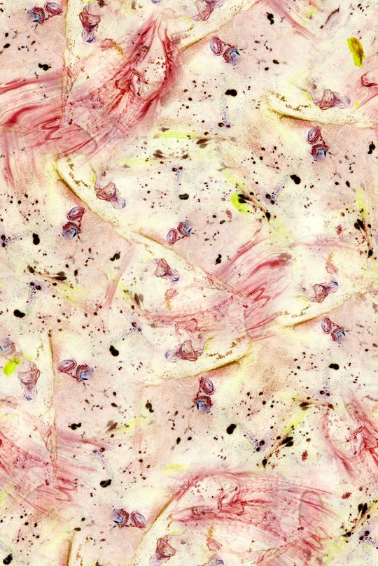 笔触印花华亿平台图片