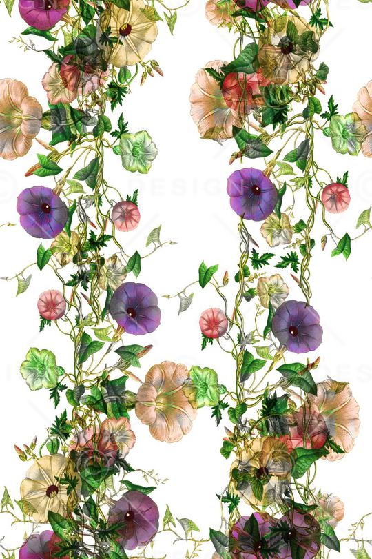 清新童话定位印花华亿平台图片