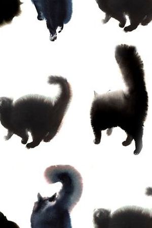 动物印花华亿平台图片