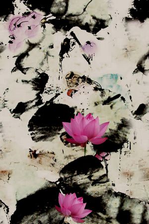 荷花印花华亿平台图片