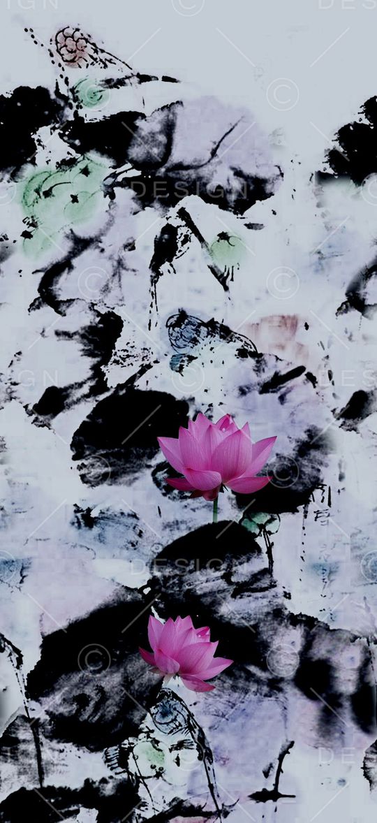 荷花印花华亿平台图片