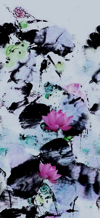 荷花印花华亿平台图片