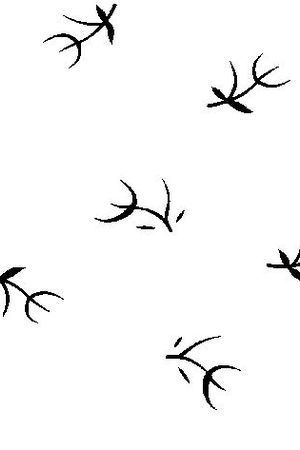 小草印花华亿平台图片