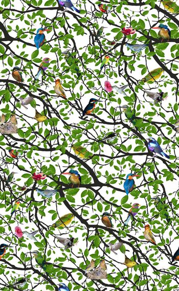 598310-原创时尚小鸟树枝叶子