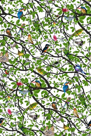 清新优雅印花印花华亿平台图片