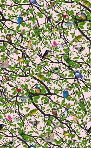 598312-原创时尚小鸟树枝叶子