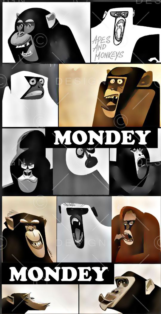 猴子印花华亿平台图片