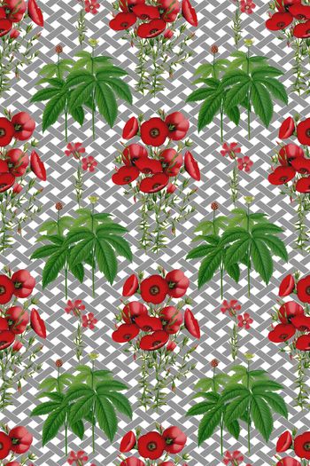 598396-方格田园花卉