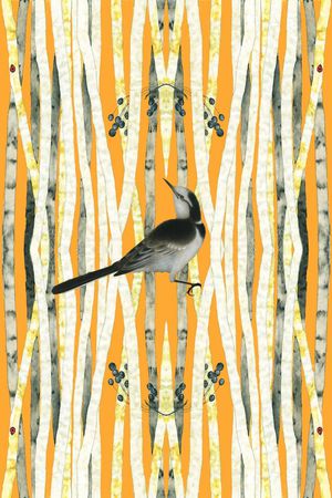 国画印花华亿平台图片