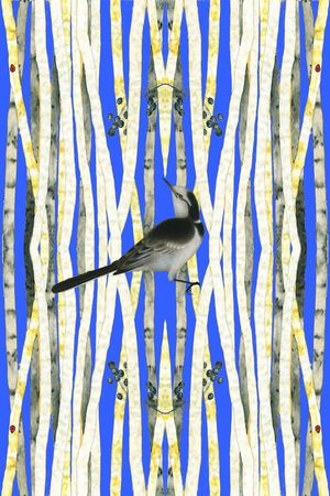 国画印花华亿平台图片