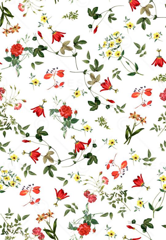 热带印花华亿平台图片