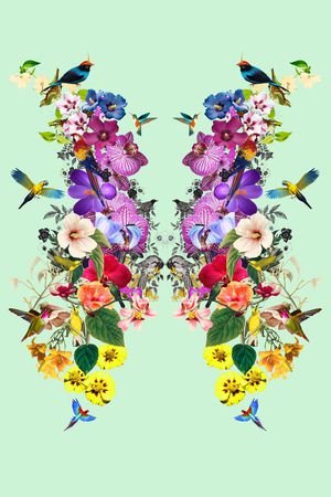 花鸟印花华亿平台图片