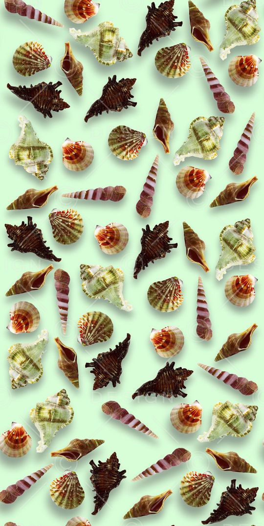 海洋生物印花华亿平台图片