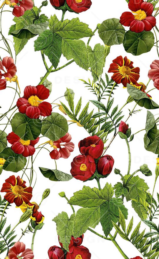 手绘花卉印花华亿平台图片