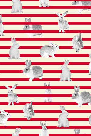 细条纹印花华亿平台图片