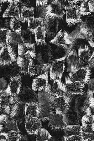 女装印花华亿平台图片