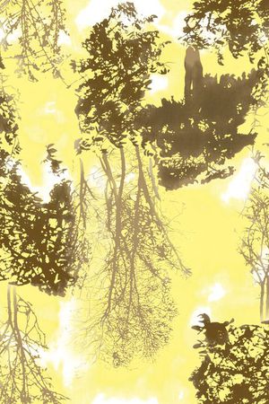 树林印花华亿平台图片